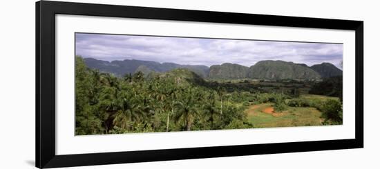 Trees with Mountain Range in Back, Valle De Vinales, Pinar Del Rio Province, Cuba-null-Framed Photographic Print