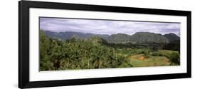 Trees with Mountain Range in Back, Valle De Vinales, Pinar Del Rio Province, Cuba-null-Framed Photographic Print