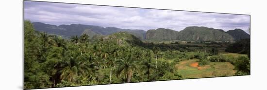 Trees with Mountain Range in Back, Valle De Vinales, Pinar Del Rio Province, Cuba-null-Mounted Photographic Print