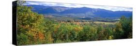 Trees with Mountain Range in the Background, Cades Cove, Great Smoky Mountains National Park-null-Stretched Canvas