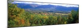 Trees with Mountain Range in the Background, Cades Cove, Great Smoky Mountains National Park-null-Mounted Photographic Print