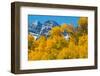 Trees with Mountain Range in the Background, Maroon Creek Valley, Aspen-null-Framed Photographic Print