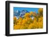 Trees with Mountain Range in the Background, Maroon Creek Valley, Aspen-null-Framed Photographic Print