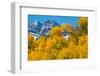 Trees with Mountain Range in the Background, Maroon Creek Valley, Aspen-null-Framed Photographic Print