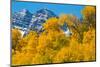 Trees with Mountain Range in the Background, Maroon Creek Valley, Aspen-null-Mounted Photographic Print