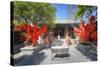 Trees with Red Ribbons at Pu Xian Temple in Lijiang Old Town, Lijiang, Yunnan, China, Asia-Andreas Brandl-Stretched Canvas