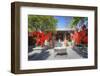 Trees with Red Ribbons at Pu Xian Temple in Lijiang Old Town, Lijiang, Yunnan, China, Asia-Andreas Brandl-Framed Photographic Print