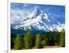 Trees with snowcapped mountain range in the background, Mt Hood, Upper Hood River Valley, Hood R...-null-Framed Photographic Print