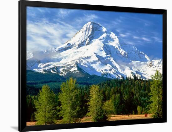 Trees with snowcapped mountain range in the background, Mt Hood, Upper Hood River Valley, Hood R...-null-Framed Photographic Print