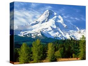 Trees with snowcapped mountain range in the background, Mt Hood, Upper Hood River Valley, Hood R...-null-Stretched Canvas