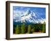 Trees with snowcapped mountain range in the background, Mt Hood, Upper Hood River Valley, Hood R...-null-Framed Photographic Print