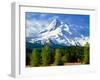 Trees with snowcapped mountain range in the background, Mt Hood, Upper Hood River Valley, Hood R...-null-Framed Photographic Print