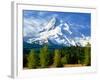 Trees with snowcapped mountain range in the background, Mt Hood, Upper Hood River Valley, Hood R...-null-Framed Photographic Print