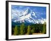 Trees with snowcapped mountain range in the background, Mt Hood, Upper Hood River Valley, Hood R...-null-Framed Photographic Print