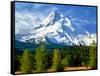 Trees with snowcapped mountain range in the background, Mt Hood, Upper Hood River Valley, Hood R...-null-Framed Stretched Canvas