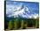 Trees with snowcapped mountain range in the background, Mt Hood, Upper Hood River Valley, Hood R...-null-Framed Stretched Canvas