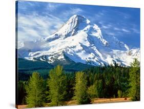 Trees with snowcapped mountain range in the background, Mt Hood, Upper Hood River Valley, Hood R...-null-Stretched Canvas