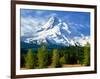 Trees with snowcapped mountain range in the background, Mt Hood, Upper Hood River Valley, Hood R...-null-Framed Photographic Print