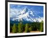 Trees with snowcapped mountain range in the background, Mt Hood, Upper Hood River Valley, Hood R...-null-Framed Photographic Print