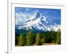 Trees with snowcapped mountain range in the background, Mt Hood, Upper Hood River Valley, Hood R...-null-Framed Photographic Print