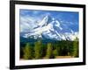 Trees with snowcapped mountain range in the background, Mt Hood, Upper Hood River Valley, Hood R...-null-Framed Photographic Print