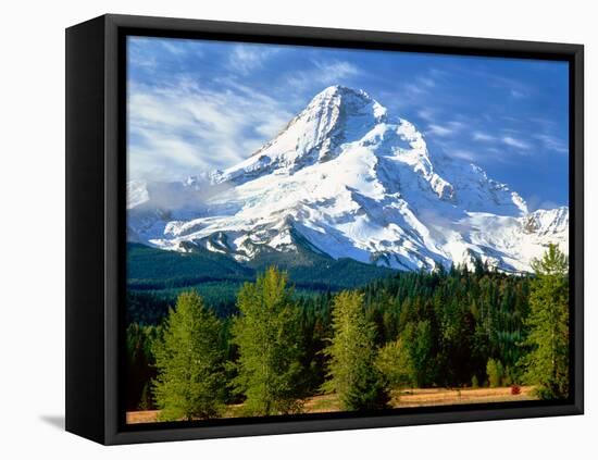 Trees with snowcapped mountain range in the background, Mt Hood, Upper Hood River Valley, Hood R...-null-Framed Stretched Canvas