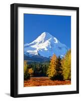 Trees with snowcapped mountain range in the background, Mt Hood, Upper Hood River Valley, Hood R...-null-Framed Photographic Print