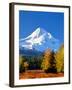 Trees with snowcapped mountain range in the background, Mt Hood, Upper Hood River Valley, Hood R...-null-Framed Photographic Print