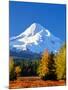 Trees with snowcapped mountain range in the background, Mt Hood, Upper Hood River Valley, Hood R...-null-Mounted Photographic Print