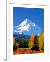 Trees with snowcapped mountain range in the background, Mt Hood, Upper Hood River Valley, Hood R...-null-Framed Photographic Print