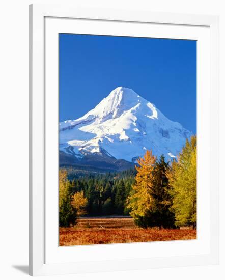 Trees with snowcapped mountain range in the background, Mt Hood, Upper Hood River Valley, Hood R...-null-Framed Photographic Print