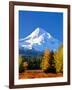 Trees with snowcapped mountain range in the background, Mt Hood, Upper Hood River Valley, Hood R...-null-Framed Photographic Print