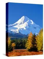 Trees with snowcapped mountain range in the background, Mt Hood, Upper Hood River Valley, Hood R...-null-Stretched Canvas