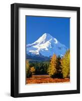 Trees with snowcapped mountain range in the background, Mt Hood, Upper Hood River Valley, Hood R...-null-Framed Photographic Print