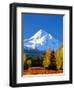 Trees with snowcapped mountain range in the background, Mt Hood, Upper Hood River Valley, Hood R...-null-Framed Photographic Print