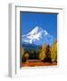 Trees with snowcapped mountain range in the background, Mt Hood, Upper Hood River Valley, Hood R...-null-Framed Photographic Print