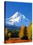 Trees with snowcapped mountain range in the background, Mt Hood, Upper Hood River Valley, Hood R...-null-Stretched Canvas