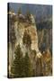 Trees within Grand Canyon of Yellowstone, Yellowstone National Park, Wyoming-Adam Jones-Stretched Canvas