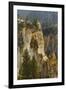 Trees within Grand Canyon of Yellowstone, Yellowstone National Park, Wyoming-Adam Jones-Framed Premium Photographic Print