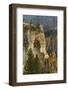 Trees within Grand Canyon of Yellowstone, Yellowstone National Park, Wyoming-Adam Jones-Framed Photographic Print