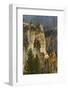 Trees within Grand Canyon of Yellowstone, Yellowstone National Park, Wyoming-Adam Jones-Framed Photographic Print