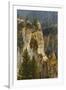 Trees within Grand Canyon of Yellowstone, Yellowstone National Park, Wyoming-Adam Jones-Framed Photographic Print