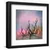 Trees-Claire Westwood-Framed Art Print