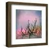 Trees-Claire Westwood-Framed Art Print