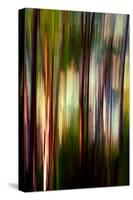 Trees-Ursula Abresch-Stretched Canvas