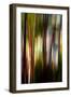 Trees-Ursula Abresch-Framed Photographic Print