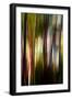 Trees-Ursula Abresch-Framed Photographic Print