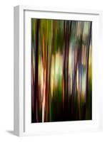 Trees-Ursula Abresch-Framed Photographic Print