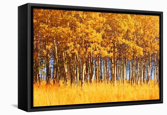 Trees-null-Framed Stretched Canvas
