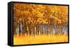 Trees-null-Framed Stretched Canvas